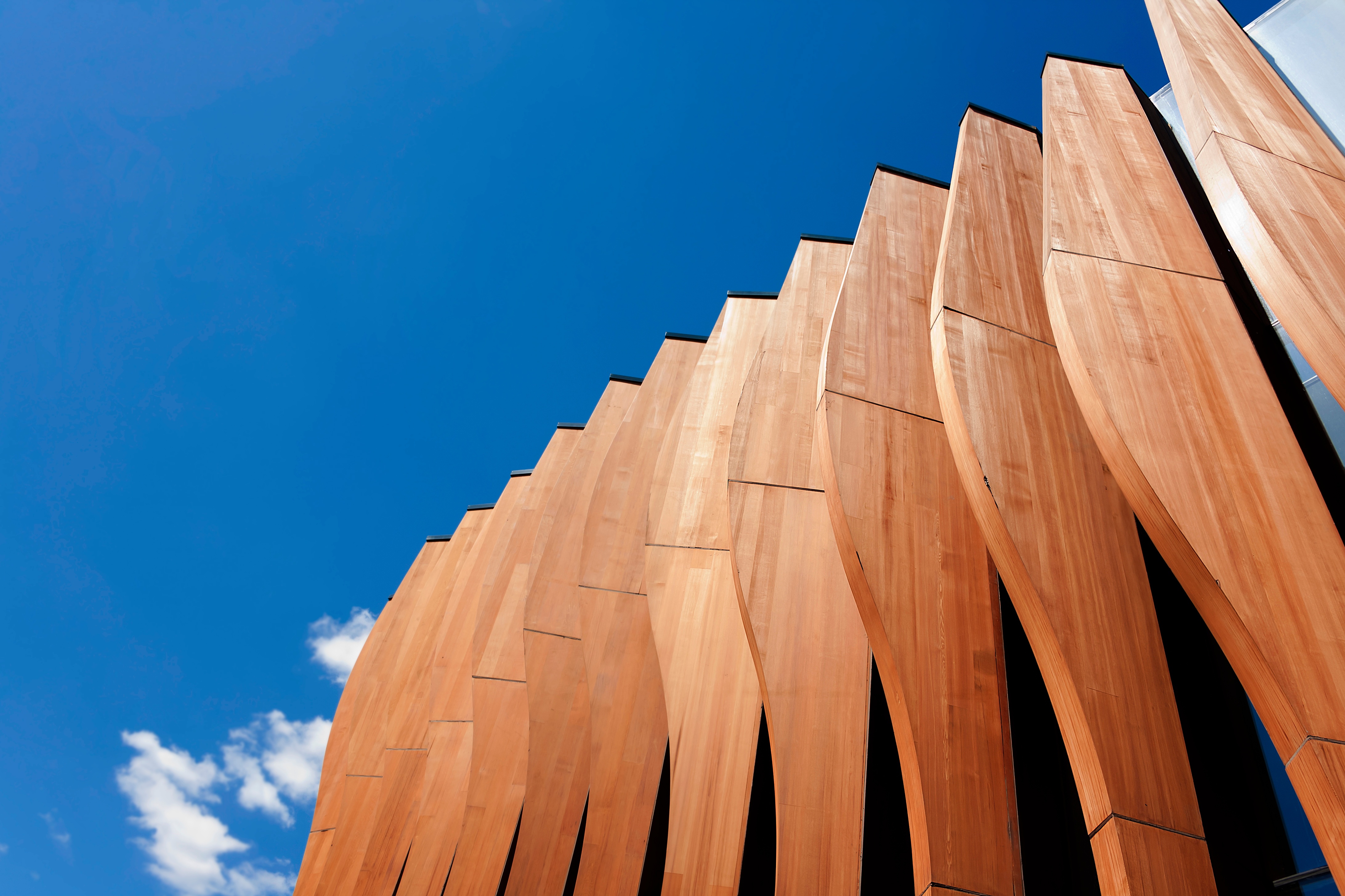 AdobeStock_127845414